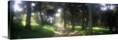 Footpath passing through a park, The Presidio, San Francisco, California