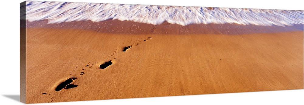 Footprints in sand on the beach, Hawaii, USA