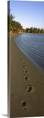Footprints on the beach, Pomene, Mozambique