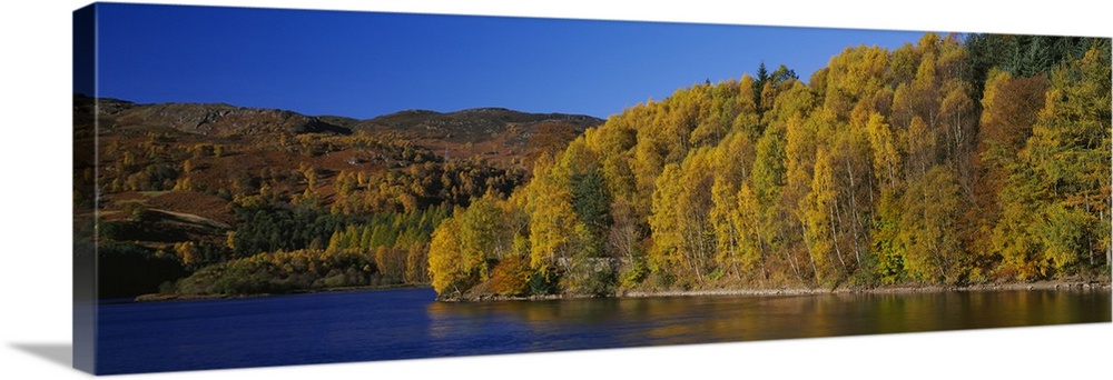 Forest at the river side, Highland Perthshire, Loch Faskally, Scotland