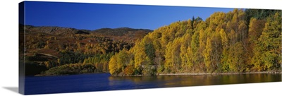 Forest at the river side, Highland Perthshire, Loch Faskally, Scotland