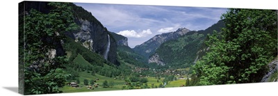 Forest Lauterbrunnen Valley Bernese Oberland Berne Canton Switzerland