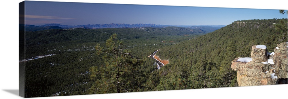 Forest, Mogollon Rim, Tonto National Forest, Zane Grey Country, Arizona
