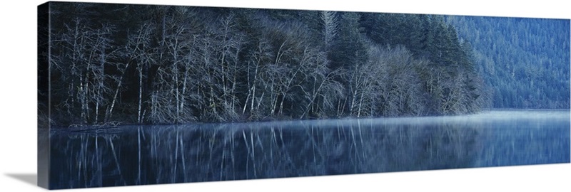 Forest reflecting into Lake Crescent, Olympic National Park, Washington ...