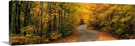 Forest Road near St. Hippolyte Laurentides Quebec Canada Photo Canvas ...