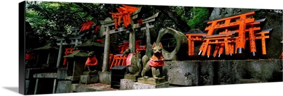 Fox statues with Torii gates at a shrine, Fushimi Inari-Taisha, Fushimi Ward, Kyoto, Kyoto Prefecture, Kinki Region, Honshu, Japan