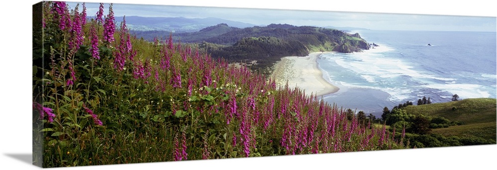 Long and horizontal photo print of wildflowers in the foreground on a hill and a beach with waves crashing on to it in the...