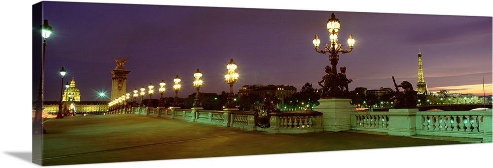 France, Paris, Alexandre III Bridge