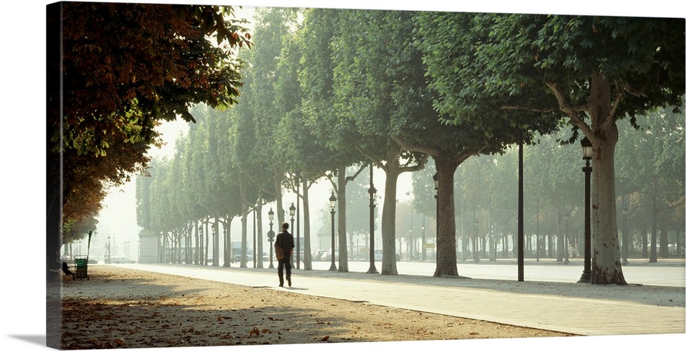 Panoramic image of a man walking through a park in Paris with trees lined along the pathway.