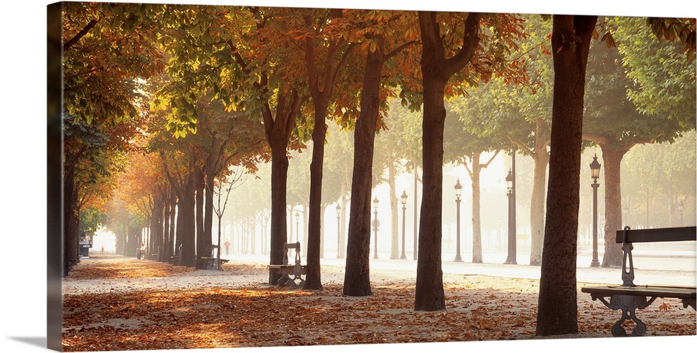 Wide angle view of a tree lined avenue through a park at autumn in Paris. Benches sit between the trunks of mature trees.
