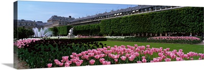 Gardens and Palais Royal Paris France