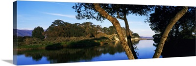 Goleta Slough wetlands, Goleta, California