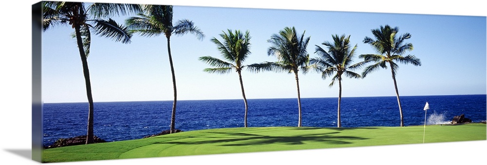 A panoramic view of the green on a Hawaiian golf course with palm trees lining the edge and a view of the ocean.