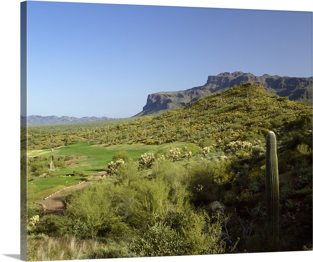 Golf course, Gold Camp, Pinal County, Arizona