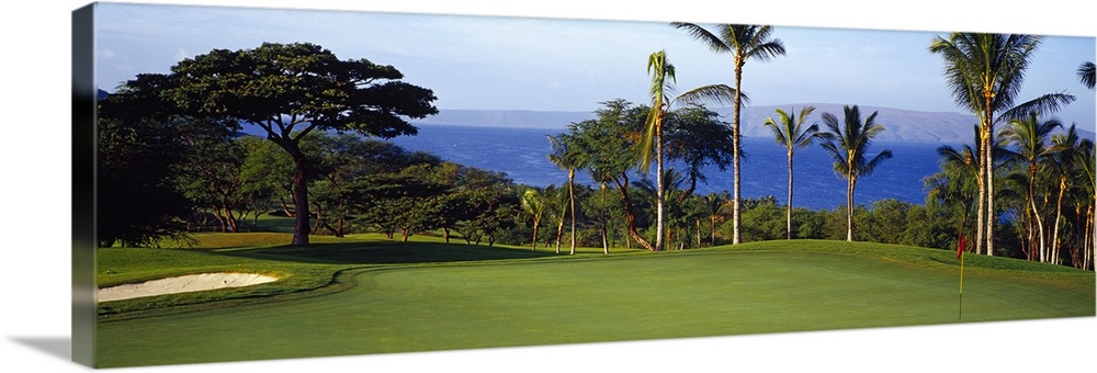Panoramic photograph of fairway with palm trees and ocean in the distance.