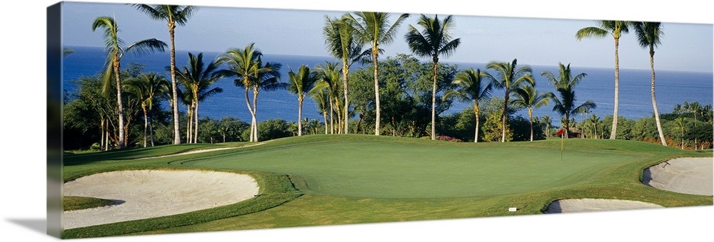 Golf Course Maui HI Wall Art, Canvas Prints, Framed Prints, Wall Peels ...