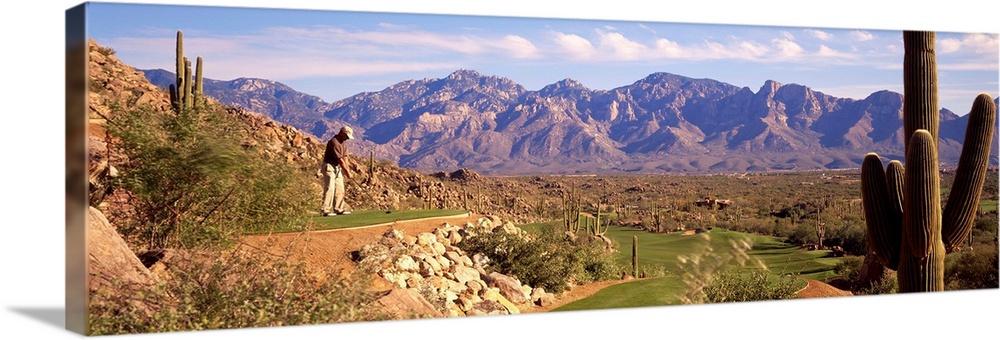 A panoramic shot of a golfer about to tee off on a course in Arizona. Cactuses are shown on either side and mountains can ...