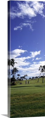 Golfers on North Course Kaanapali Maui HI