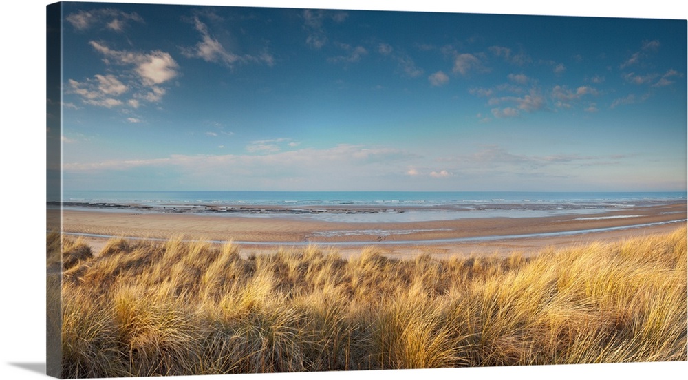 Grass on the beach, Holme Dunes, Norfolk, England