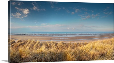 Grass on the beach, Holme Dunes, Norfolk, England
