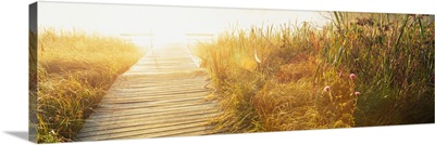 Grass on the both sides of a pier, Laurel Pond, Pokagon State Park, Indiana,