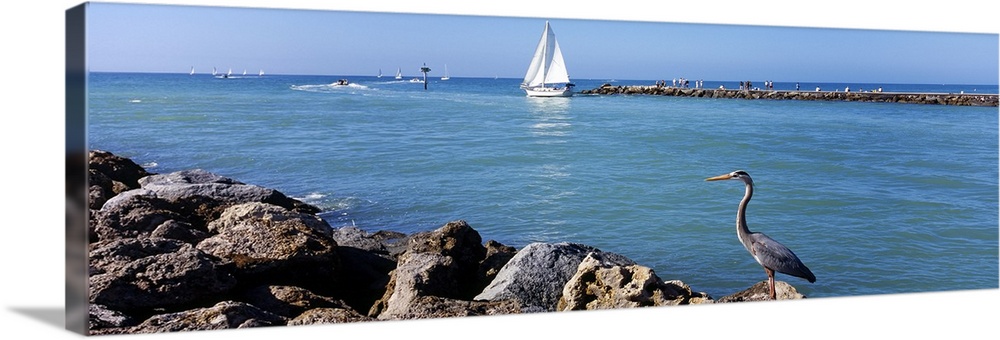 Panoramic photo on canvas of a sailboat sailing out to sea and a big bird standing on a jetty.
