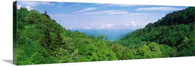 Great Smoky Mountains National Park TN