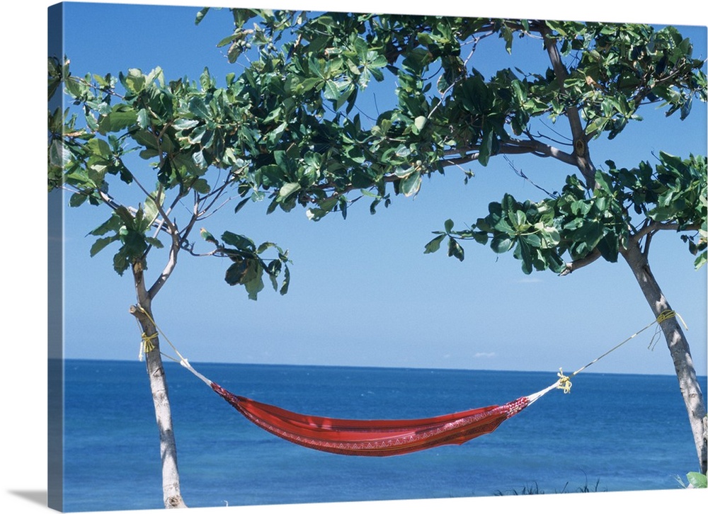 A hammock is tied up between two small trees with a beautiful ocean view behind it.