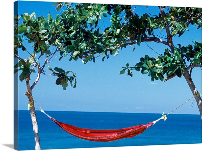 Hammock tied between two trees, Puerto Rico Great Big Canvas
