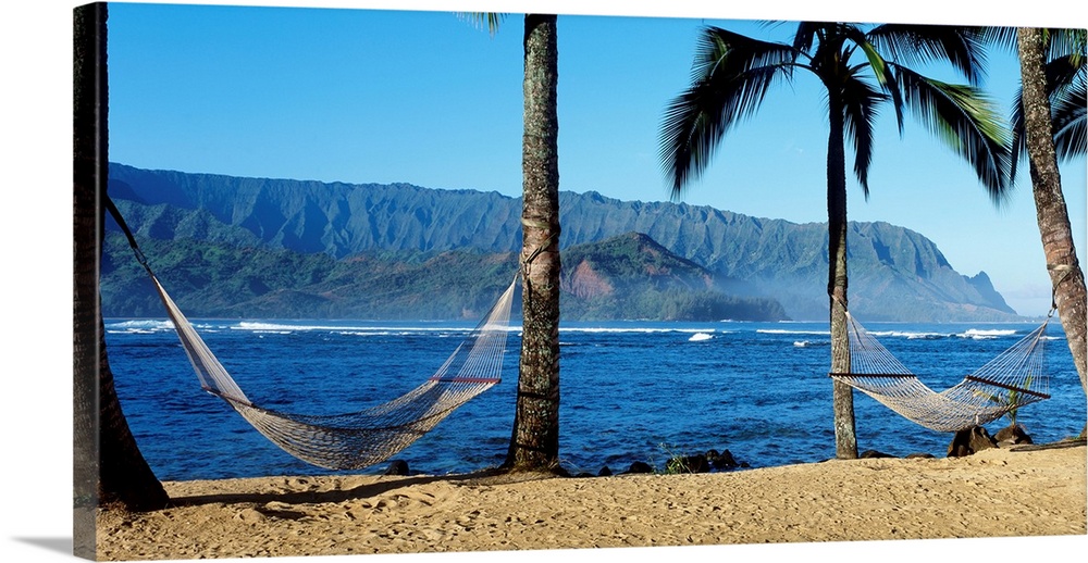 Panoramic photograph showcases a couple hammocks between palm trees on a beach within Hanalei Bay in Kauai, Hawaii.  In th...
