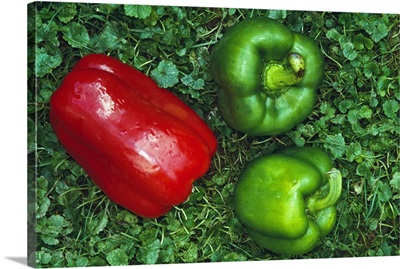 Harvested red and green peppers.