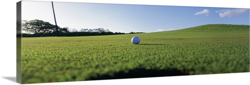 Hawaii Kanapali Golf ball entering the hole Great Big Canvas