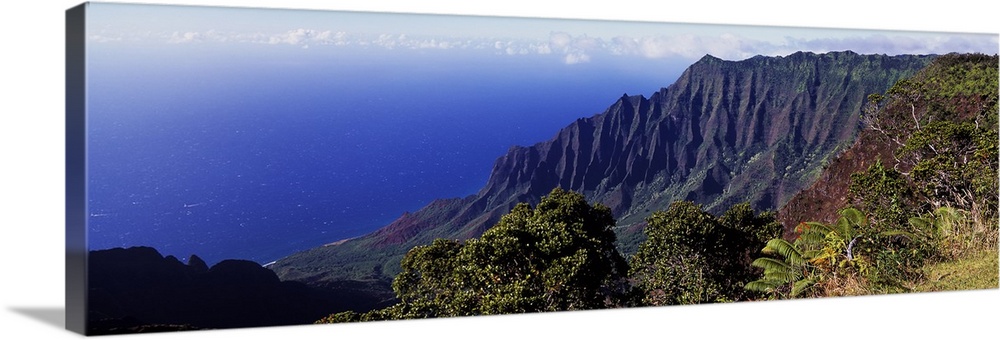 Hawaii, Kauai, Kalalau, High angle view of Kokee State Park