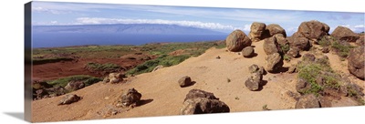 Hawaii, Lanai, Garden of the Gods, Rock formation and uncultivated plant on the mountain