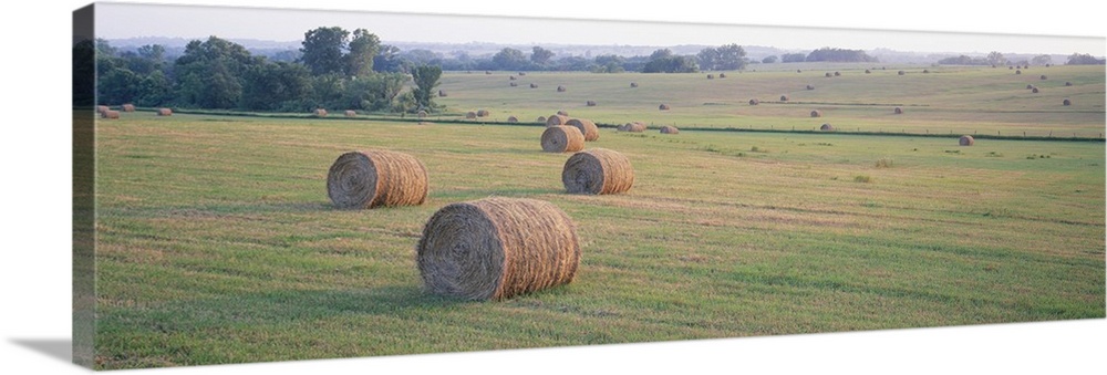 Hay bales in a field, Jackson County, Kansas
