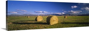 Hay bales in a field, Omarama, South Island, New Zealand image thumbnail