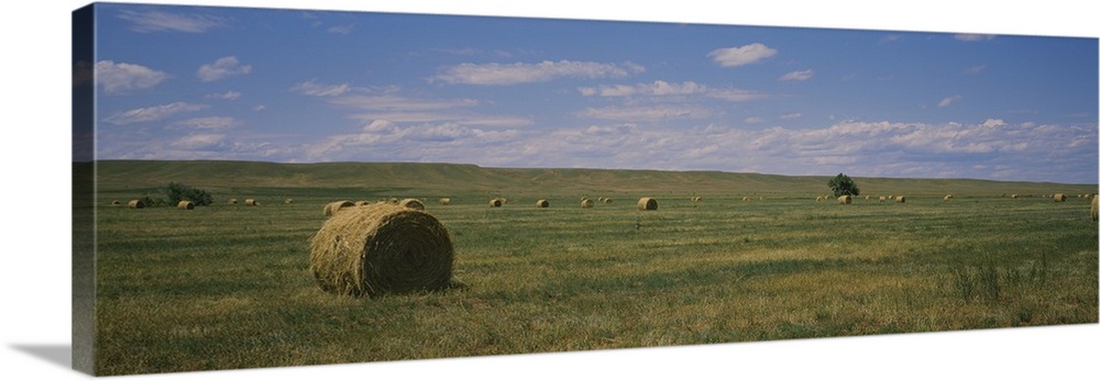 Hay bales in a field, Sundance, Idaho