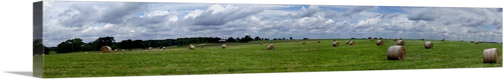 Hay bales in a field, Towanda, Mclean County, Illinois
