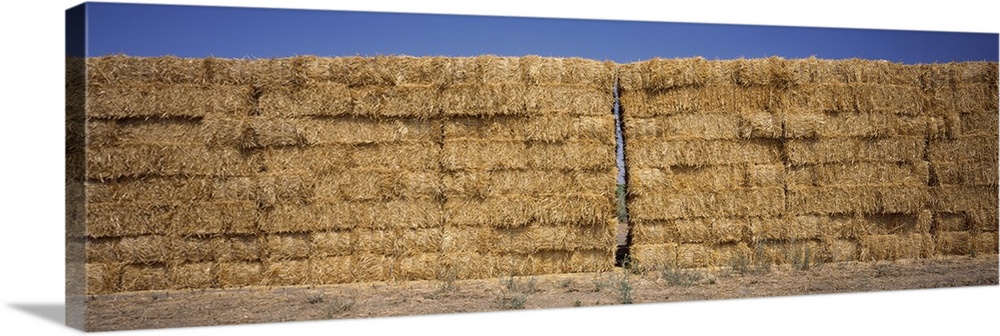 Hay stacks in a field, California,