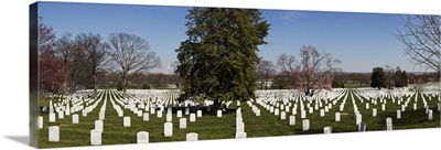 Headstones in a cemetery, Arlington National Cemetery, Arlington, Virginia