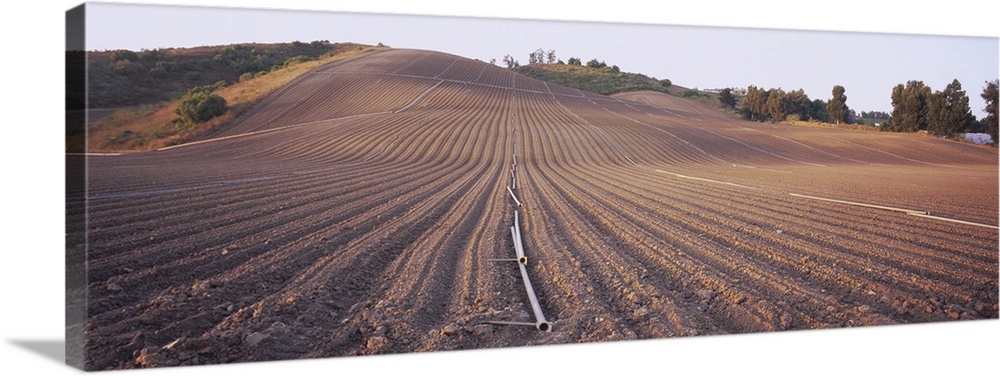 High angle view of a plowed field, Camarillo, California