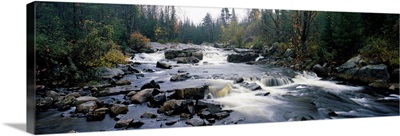 High angle view of a river flowing through a forest, Black River, Adirondack Mountains, New York State