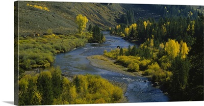 High angle view of a river in the forest, Blue River, Silverthorne, Colorado