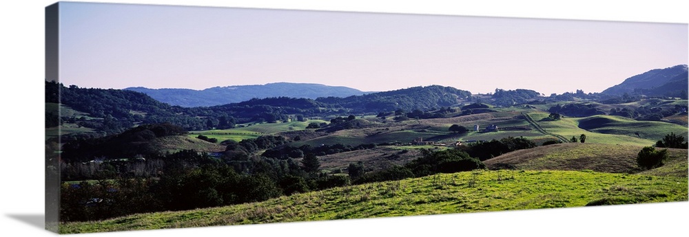 High angle view of a rolling landscape, Sonoma County, California, USA