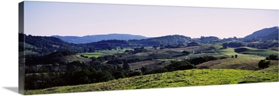 High angle view of a rolling landscape, Sonoma County, California