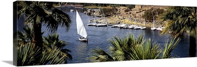 High angle view of a sailboat in a river, Nile River, Aswan, Egypt
