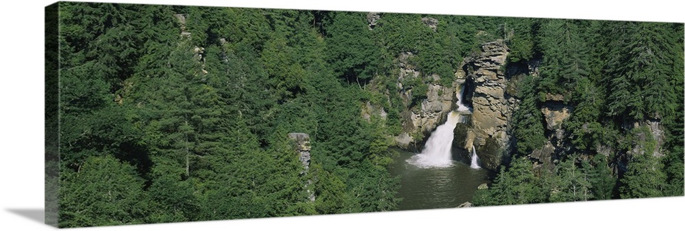 High angle view of a waterfall in a forest, Linville Falls, Linville Gorge Wilderness, North Carolina