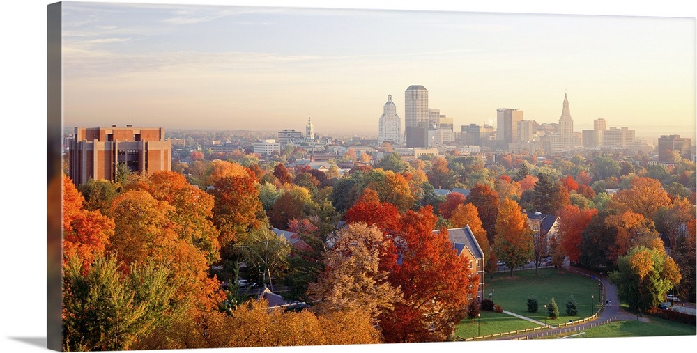 Fall foliage in bright colors with views of the city of Hartford, CT in the background.