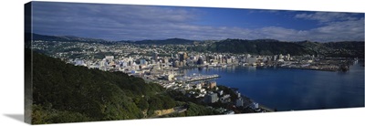 High angle view of buildings in a city, Mt Victoria, Wellington, North Island, New Zealand