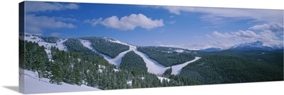 High angle view of evergreen trees on mountains covered with snow, Colorado